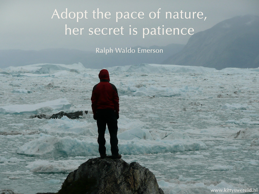 Adopt the pace of nature, her secret is patience