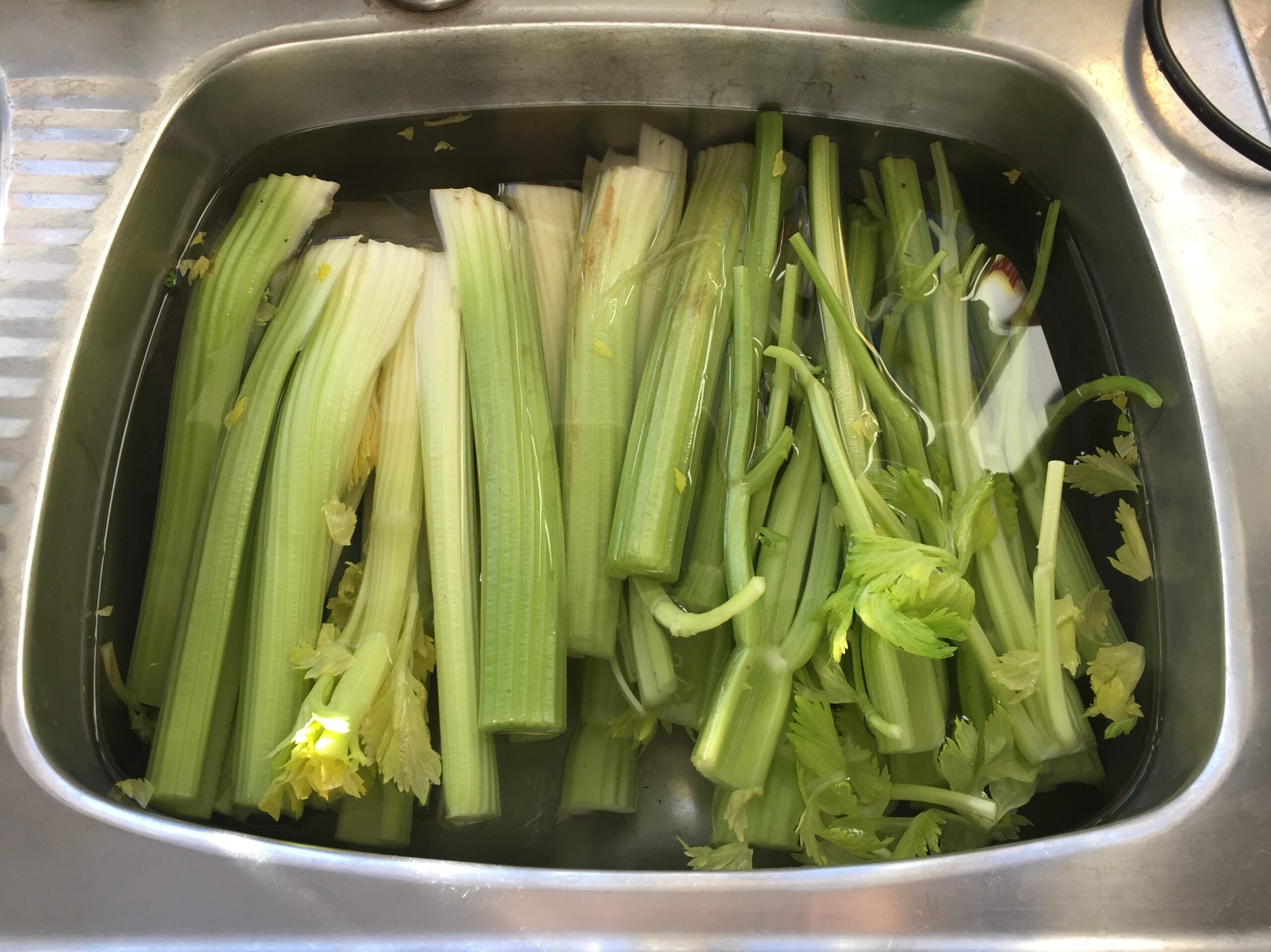 Soak Celery