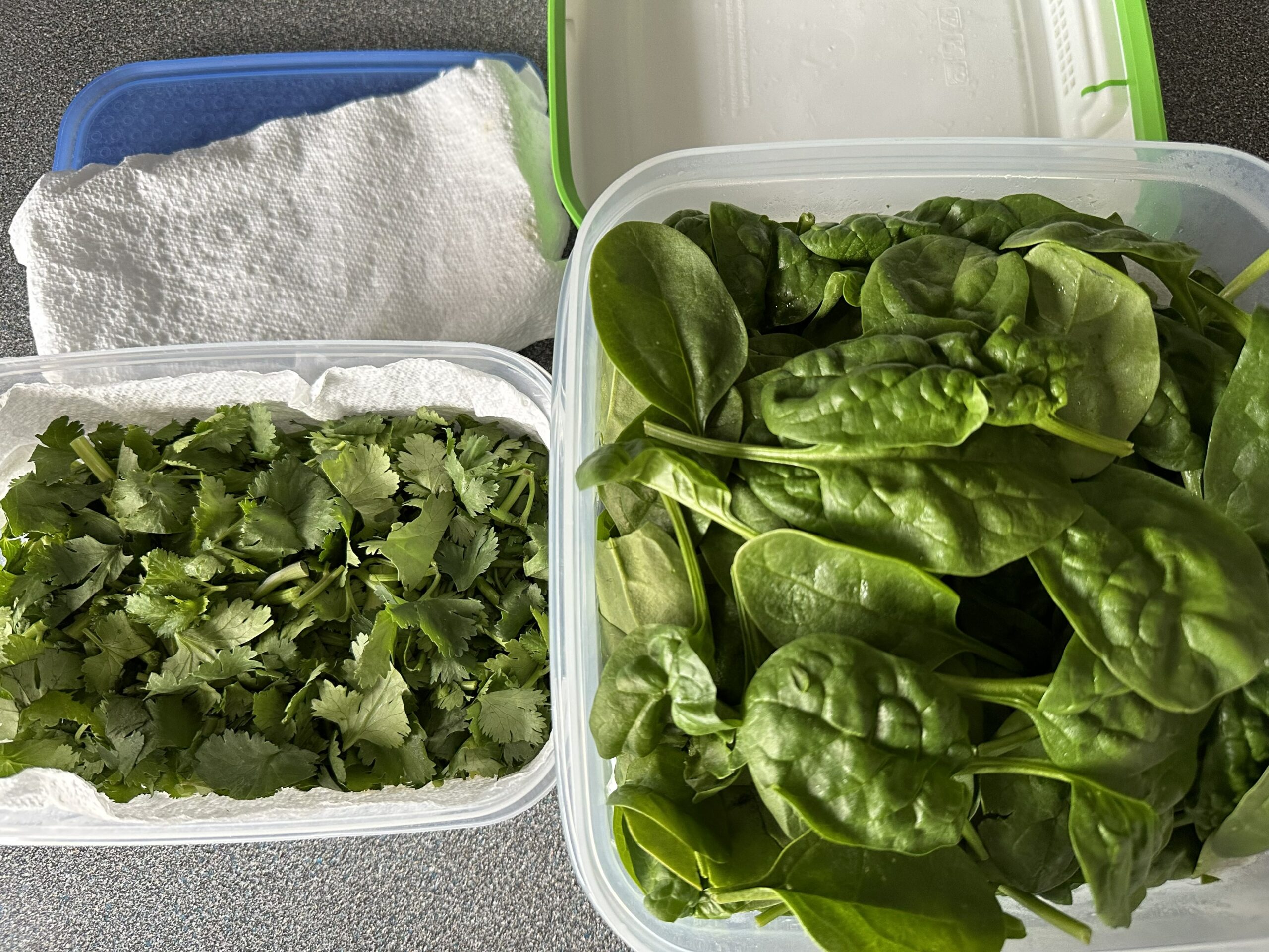 Spinach And Coriander